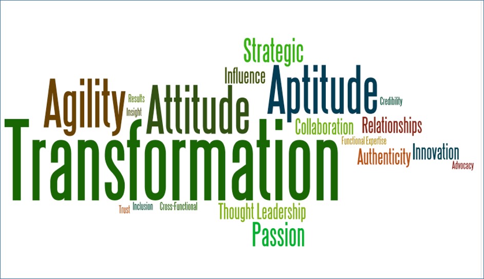 Staffing attribute word cloud
