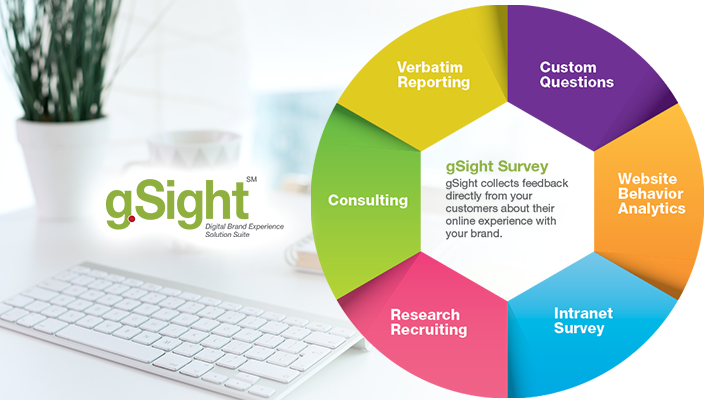 2-gsight-gallery 2-gsight-gallery