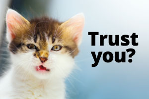 coffey photo of a snarling cat with the text "Trust you?"