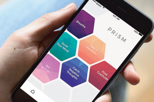 Prism image of the PRISM app on a smartphone screen